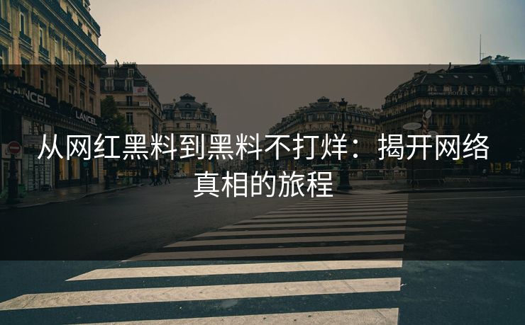 从网红黑料到黑料不打烊：揭开网络真相的旅程