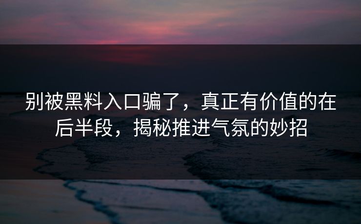 别被黑料入口骗了，真正有价值的在后半段，揭秘推进气氛的妙招